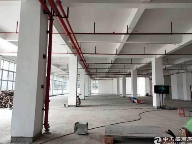 广州天河珠吉路一楼700方仓库厂房租出行方便