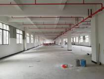 东莞市全新标准厂房分租楼上约2000平方一层，分层租