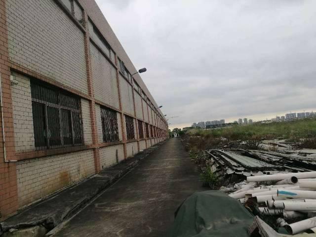 广州黄埔区经济开发区单一层仓库800平方米出租