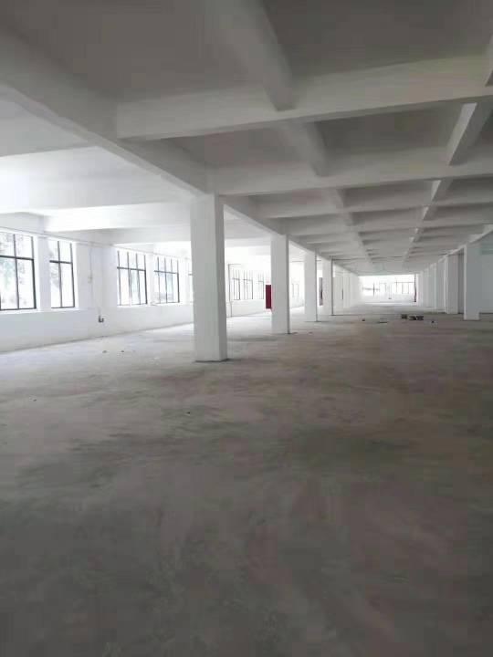 南浦西三工业园新出厂房仓库4000平，有三吨货梯，可办环评