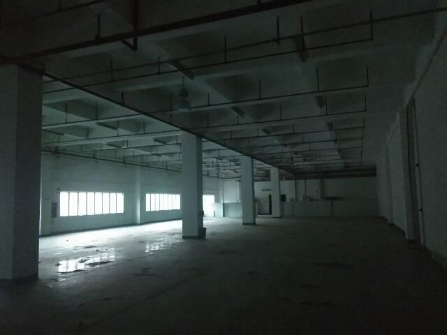 标准厂房一楼800平方可以做汽修可以做仓库可以做加工