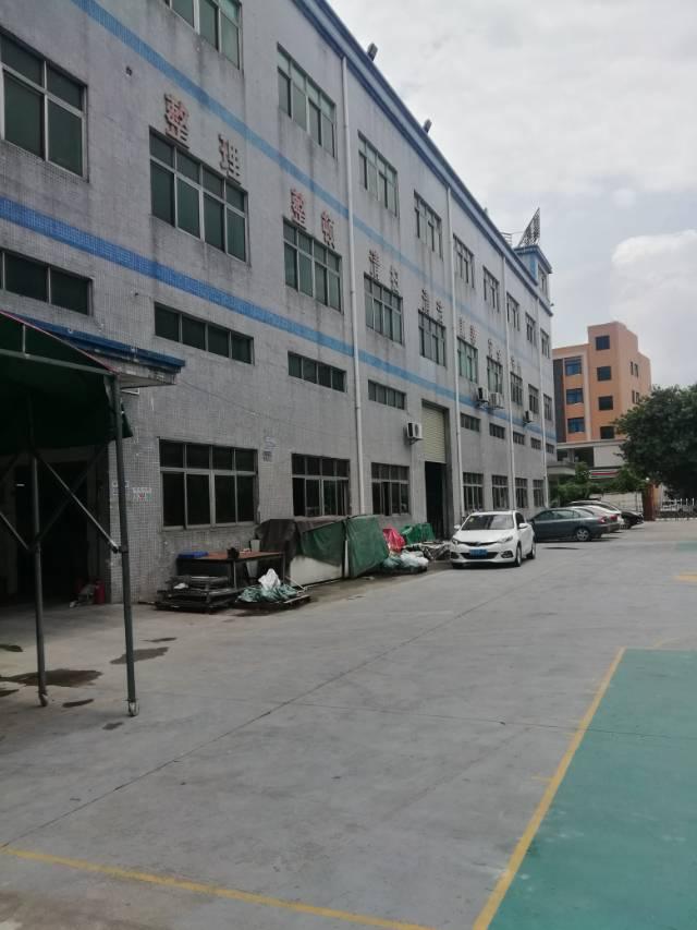 塘厦镇新装修厂房一栋招租适用于小型加工厂贸易仓库电商交通方便