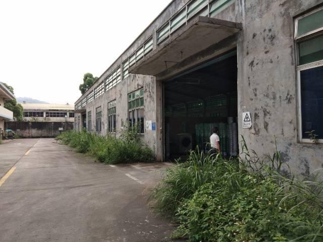 广州黄埔开发区新出单一层钢构，只做仓库，可分租