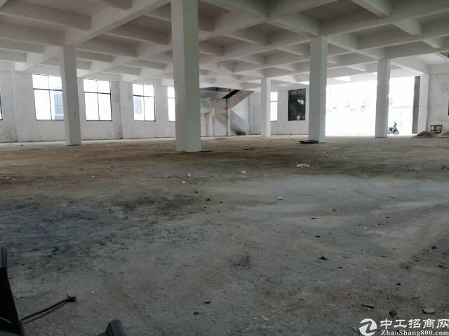 啊蚌说人口(2)