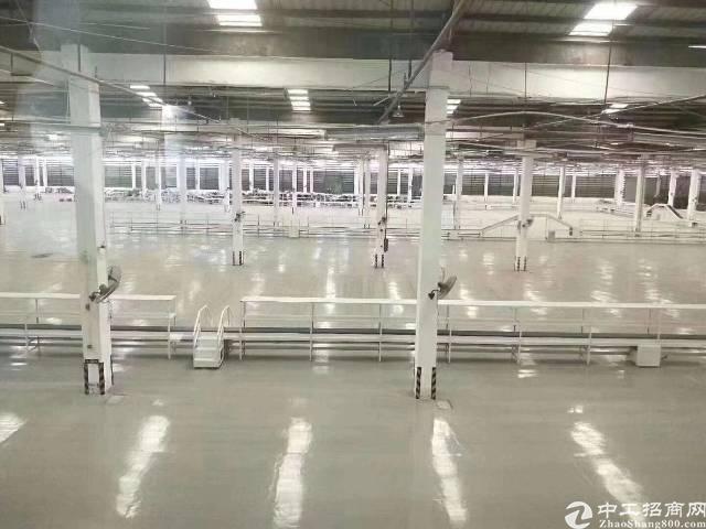 广州市黄埔开发区东区新出单一层物流仓库1000平起分租