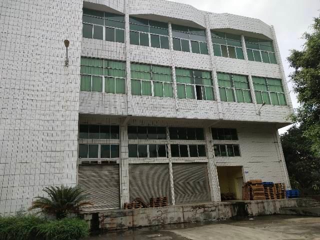 广州黄埔标准标准厂房一楼1630平方招租，可做生产，仓库