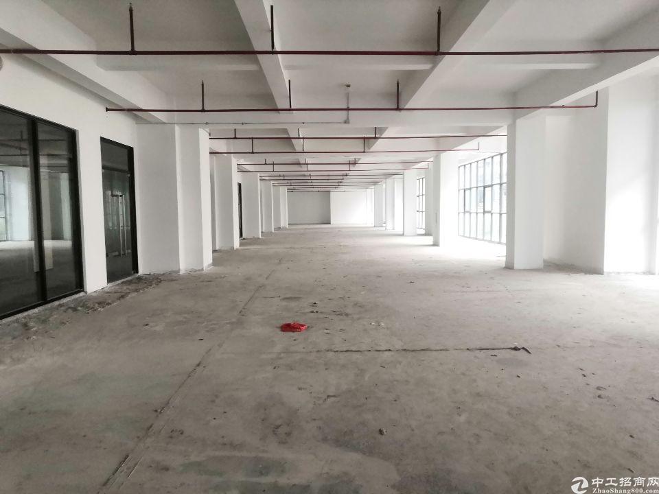 龙华新区大浪一楼厂房仓库4000平，可分租