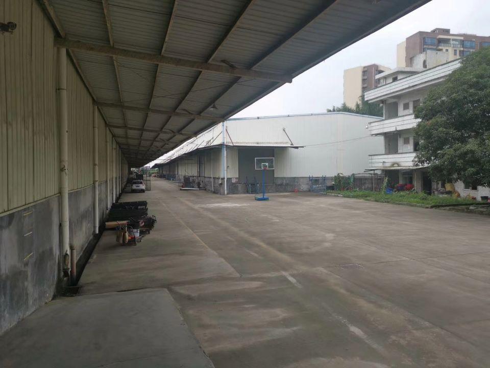 广州市花都花东镇单一层钢构厂房出租，有带卸货平台仓库
