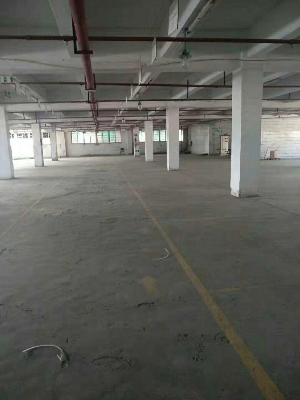 云埔工业区独院带卸货平台物流仓库三楼2000平，可分租