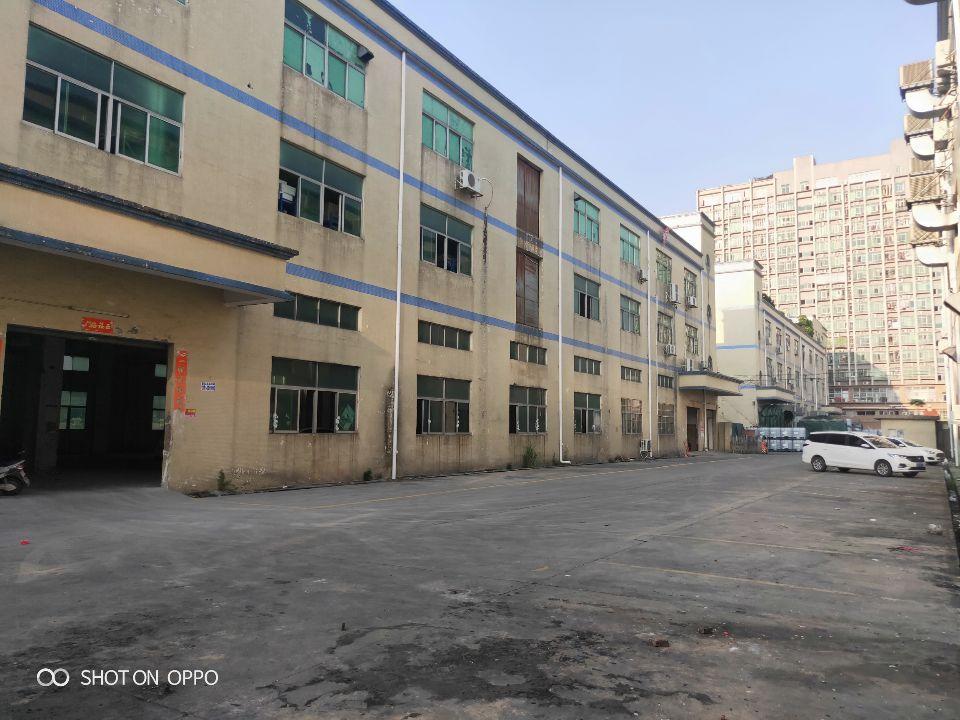 福永塘尾独门独院一楼1500平米物流仓库出租