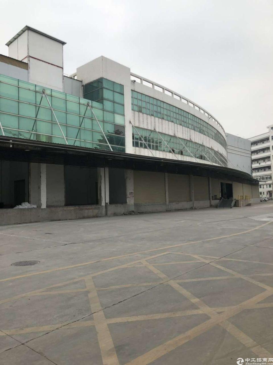 福永机场附近98000平米标准单层物流钢构仓库出租