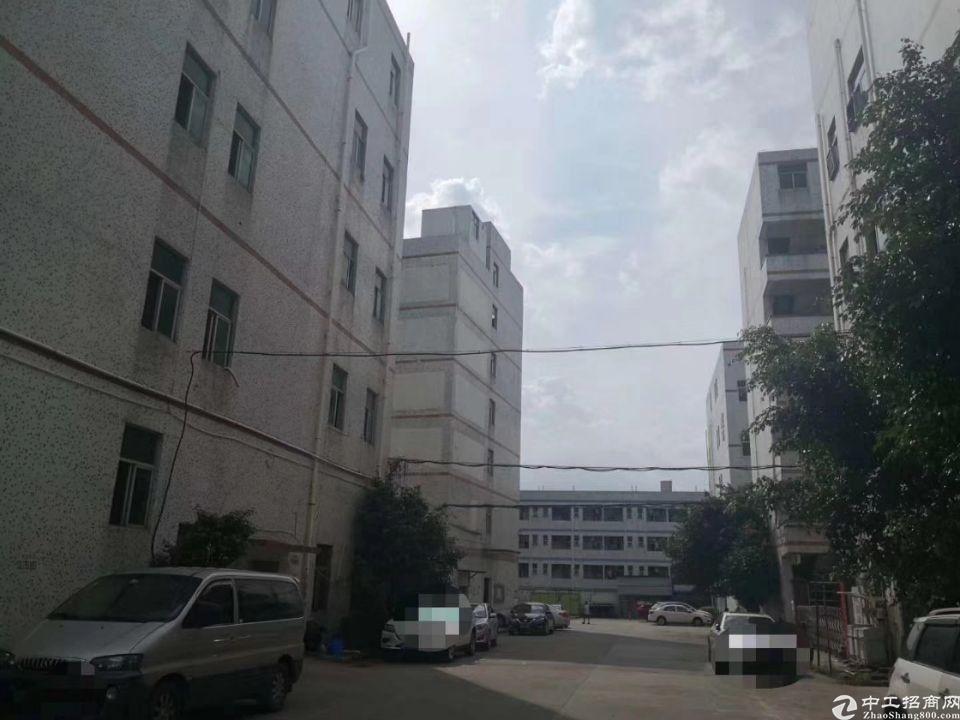 平湖清平高速出口3楼厂房仓库1350平方出租