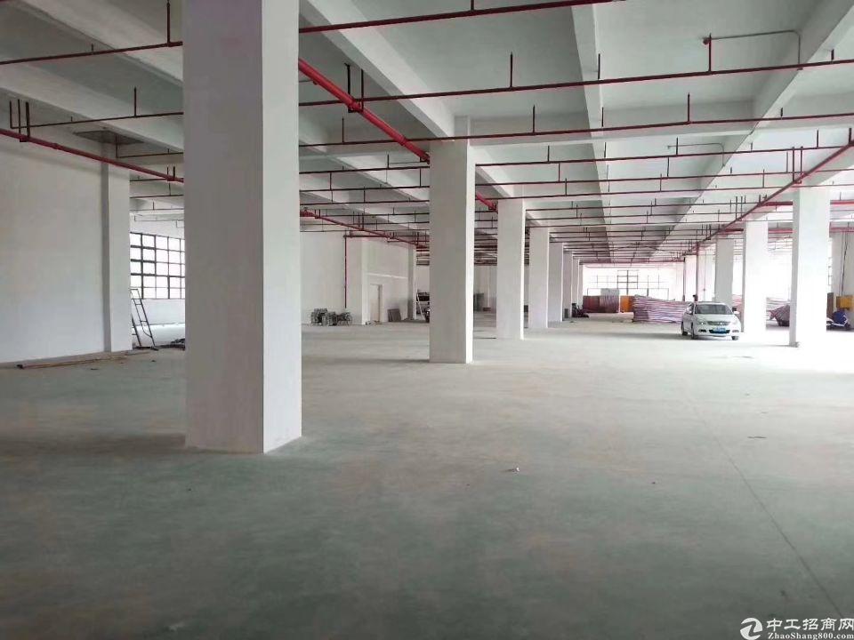 平湖富民工业区一楼980平方米厂房仓库出租高度5米