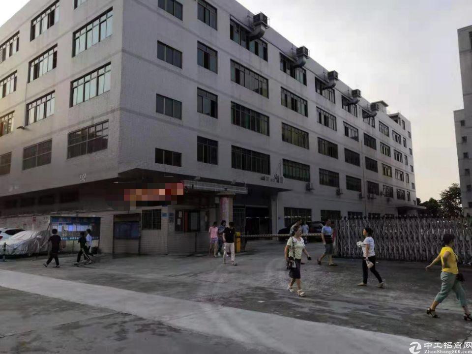 广州新塘大型成本独院厂房仓库出租原房东8000平方可办环评
