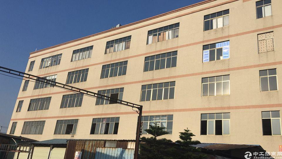 江高镇泉溪工业园区独栋标准厂房仓库分租二楼900平方、带货梯