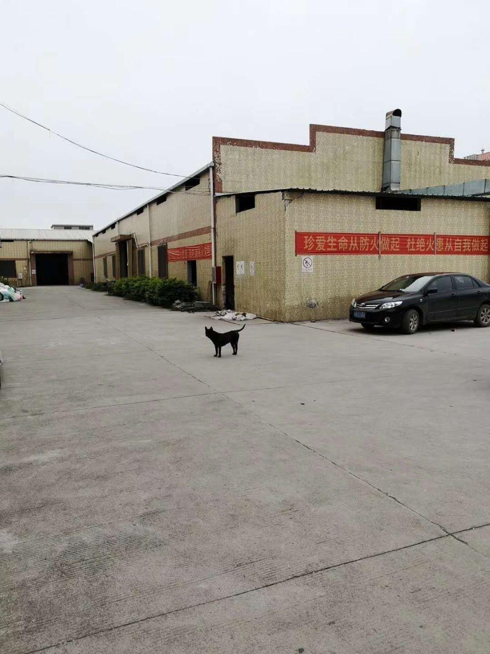 潼侨镇厂房出租