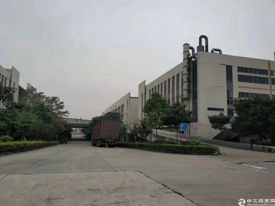 广州黄埔科学城新出标准仓库，层高5-8米任你选，带高台仓