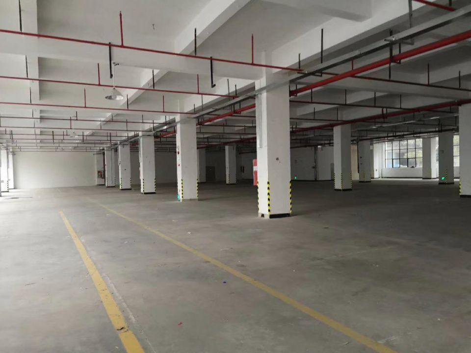 黄埔开发区原房东楼上900平米厂房适合仓库电子