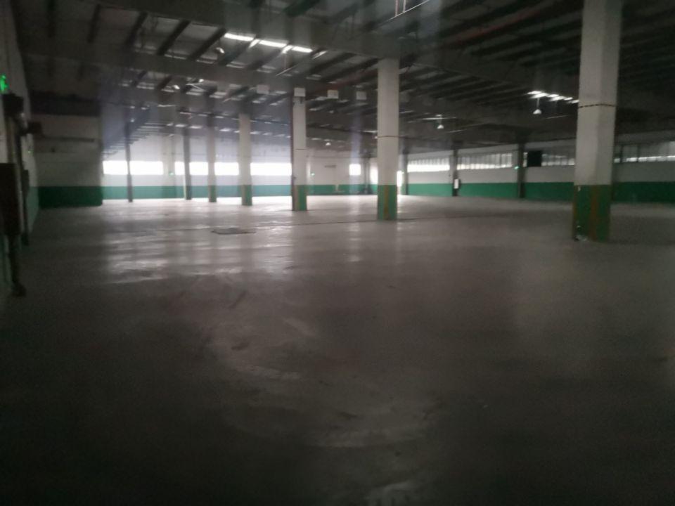 黄埔区科学城大型工业厂房仓库4660平出租，可分租