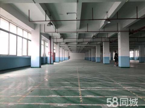 近广州（可分租）园区管理精装修2700方厂房仓库出租