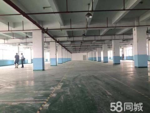 1小时前

广州（可分租）园区管理精装修2700方厂房仓库
