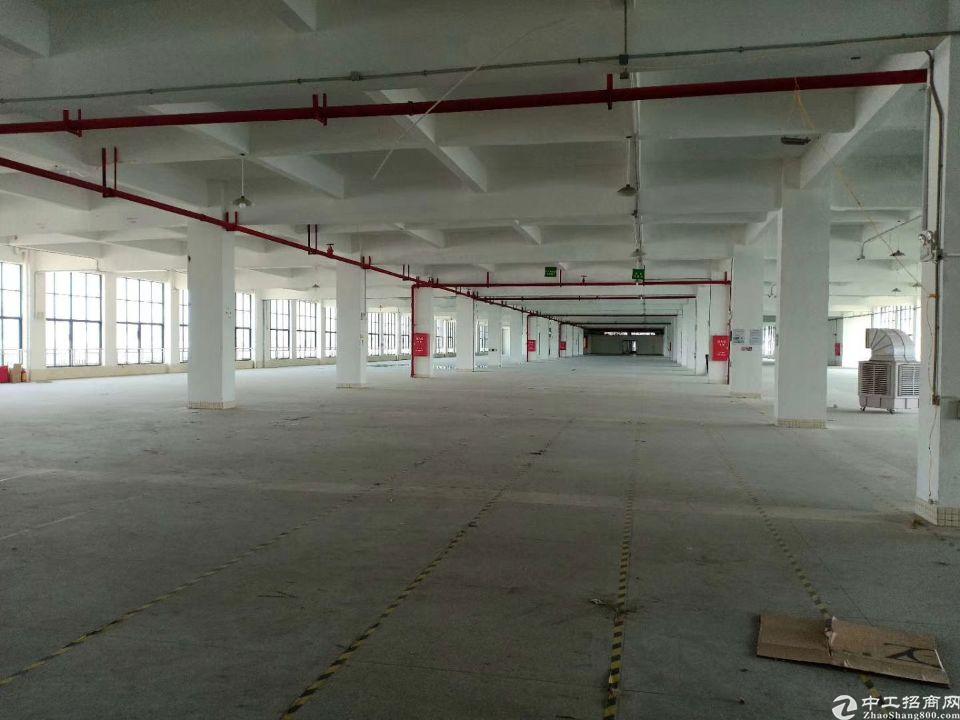 南村大型工业园新出一楼厂房仓库3000平，超大空地