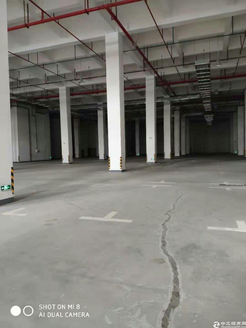 广州黄埔可短租2万平方带消防喷淋仓库出租一个月都可以