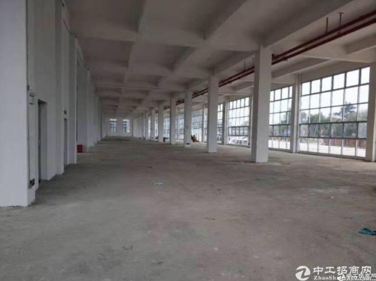 广州黄埔东区一楼物流仓库1200平方厂房出租