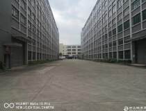 广州新塘产权清晰国有双证5014平独院厂房出售