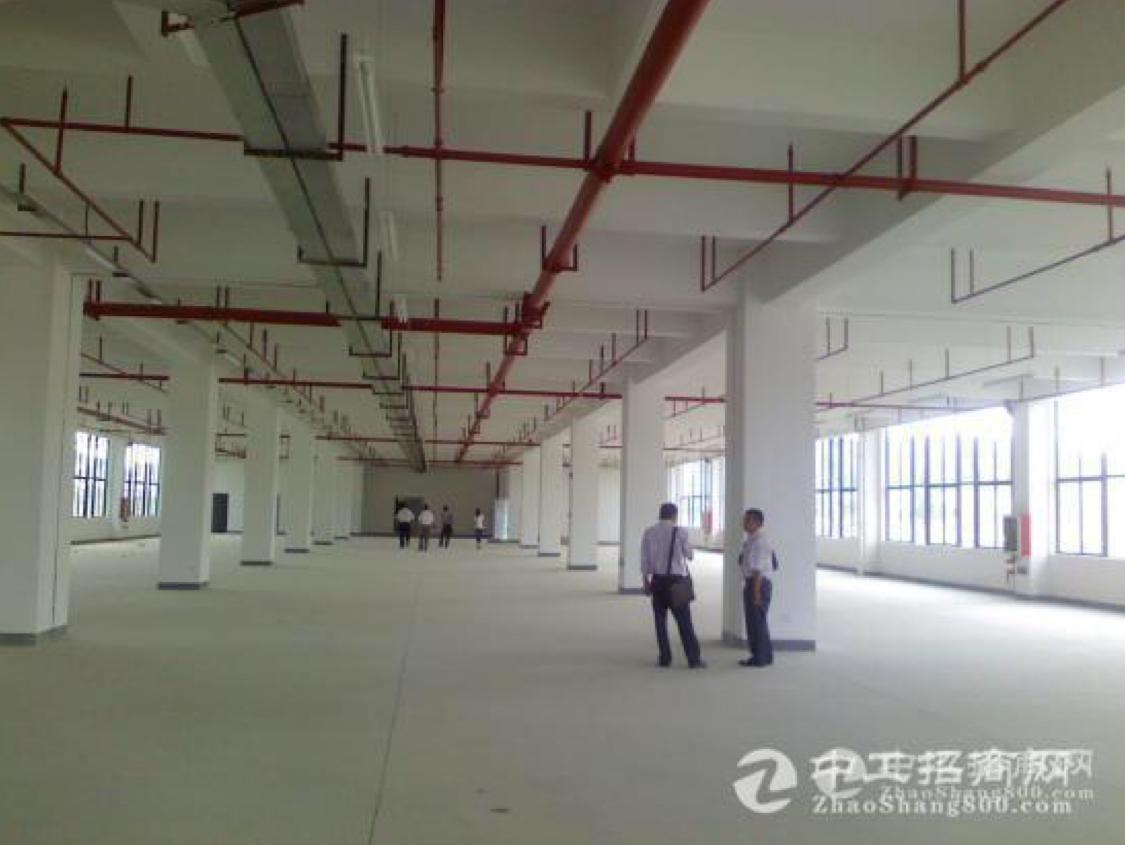 坪山坑梓新出一楼1230平厂房出租带消防喷淋