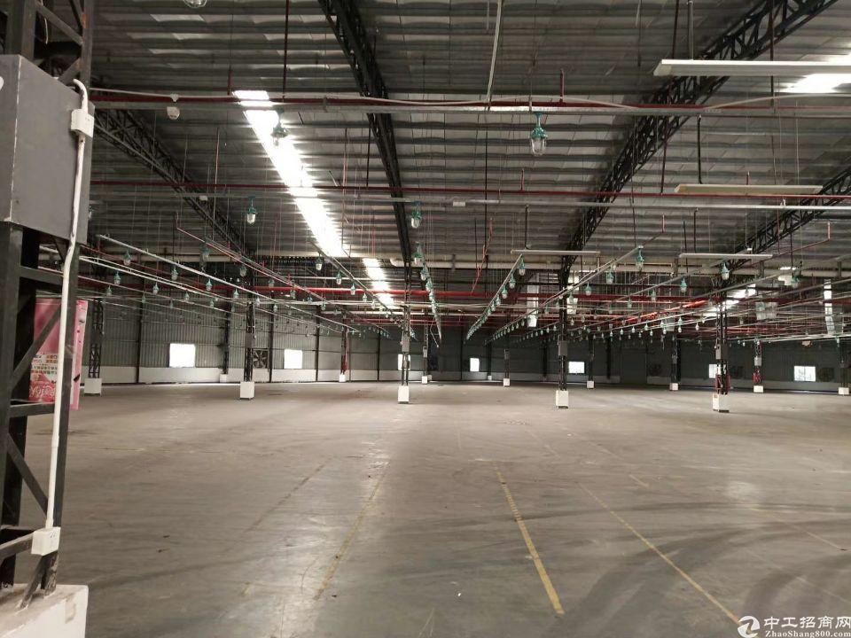 东城工业区内单一层厂房10000平方，可以分租，合适做仓库