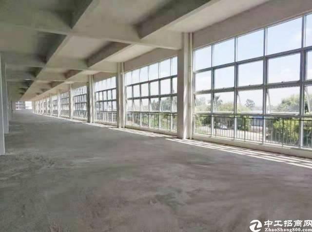 广州黄埔新出全新标准1100平厂房可做仓库无污染小加工可分