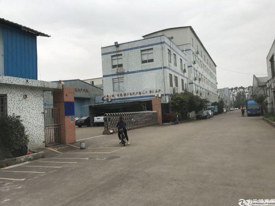 番禺区独院单一层厂房3500平米出租可做仓库或者生产