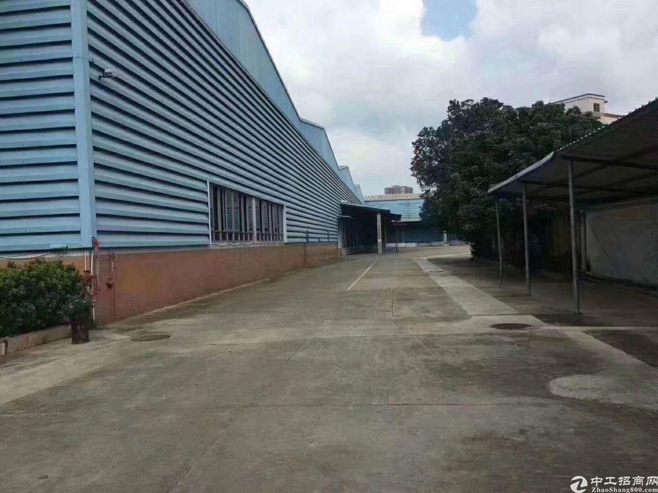 福永塘尾独门独院16000平米单一层钢结构物流仓库出租