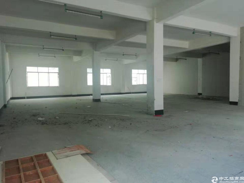 嘉禾工业区400独院标准一楼厂房仓库