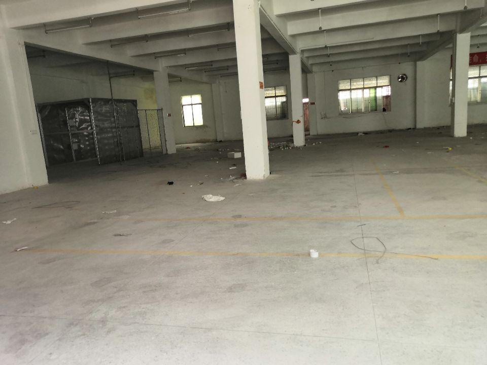 嘉禾工业区500标准独院一楼厂房仓库