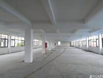 石碁镇工业园新出2500方二三楼标准厂房，可分租，可办环评