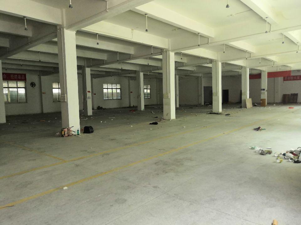 嘉禾工业区独门独院标准一楼厂房仓库