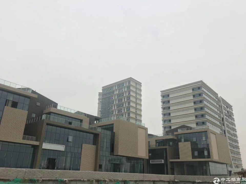 番禺石碁镇开发区100000出租、仓库、办公总部、电商
