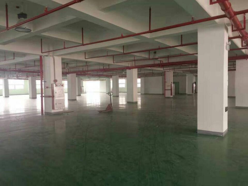 广州文冲工业区内有标准厂房仓库，形象好证件齐全空地大