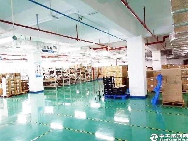 广州黄埔科学城大型产业园800平厂房电梯2.4米仓库招租