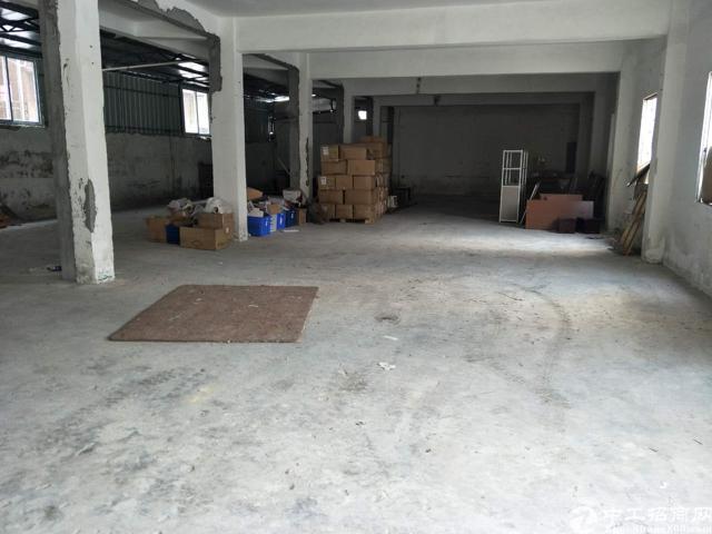 长安镇沙头社区新出一楼700平米标准厂房，适合做仓库