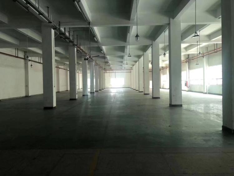 深圳独门独院厂房仓库10000平方出租。