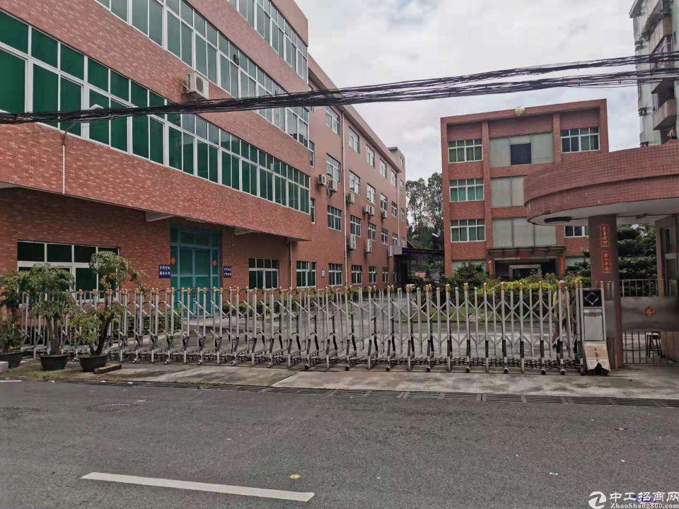 东莞城区物业旧改项目办公贸易厂房仓库出租