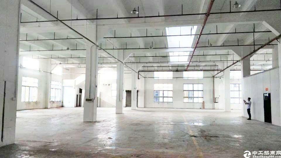 广州黄埔标准一楼厂房仓库550平高度7米可生产可办公出租