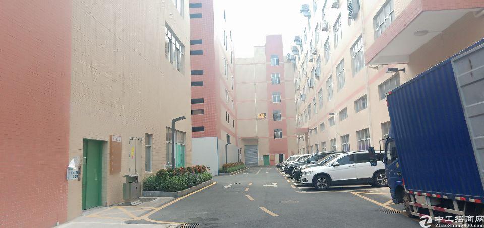 深圳厂房出租 龙华厂房出租 龙华厂房出租 > 龙华新区大浪服装基地新