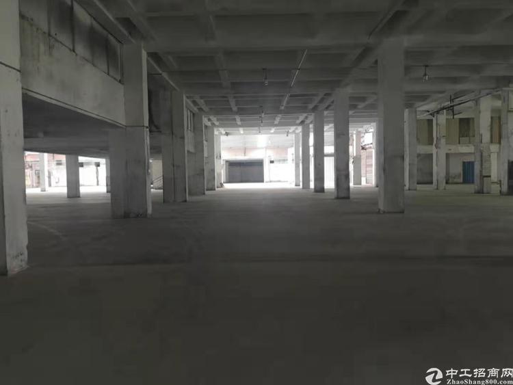 新塘镇西洲工业区新空出一楼9000㎡带卸货平台厂房仓库出租