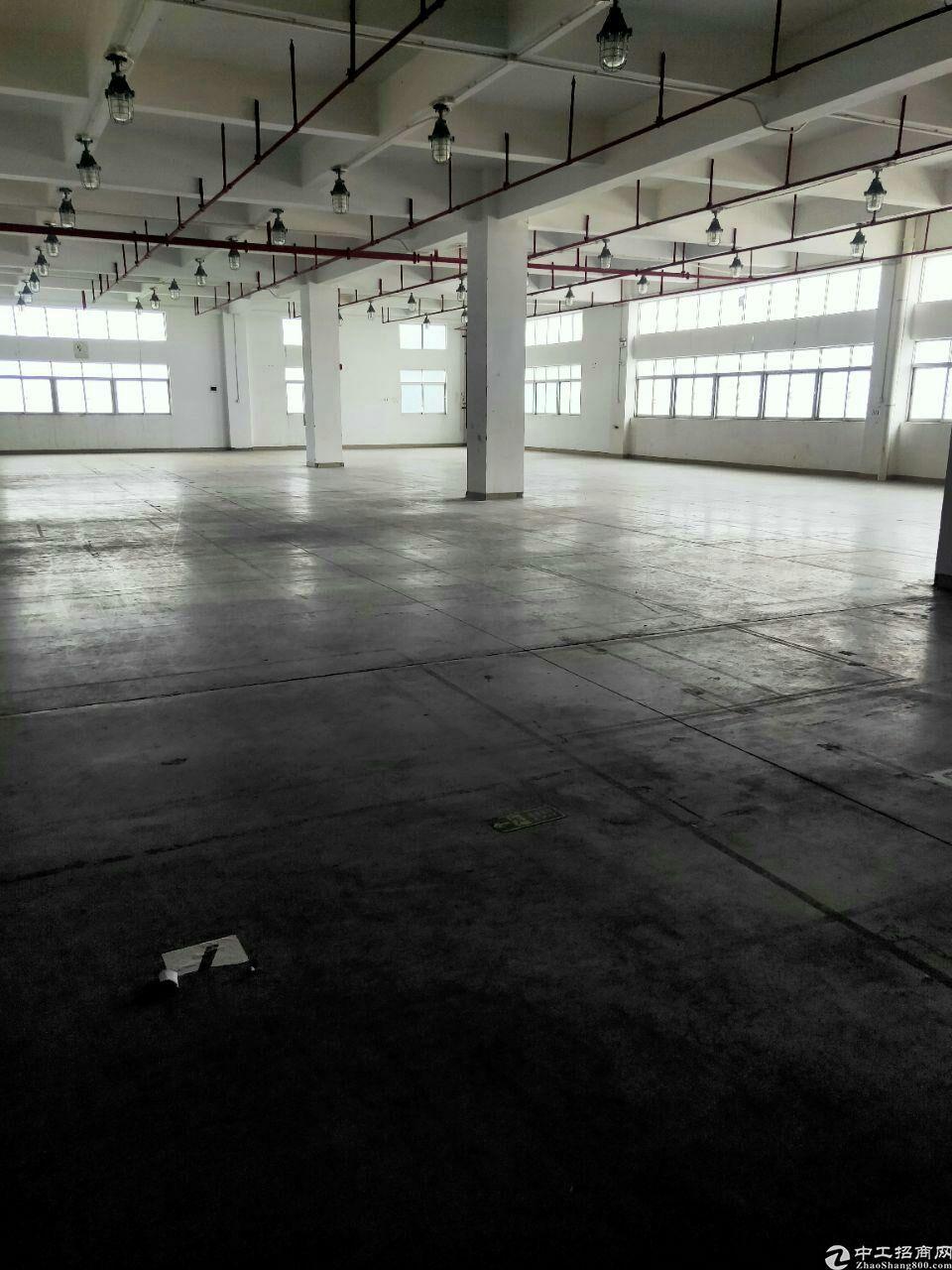 广州市黄埔区经济开发区东区新空出二楼1200平方标准厂房仓库