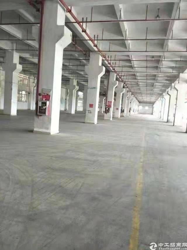黄埔开发区新出标准厂房仓库2500平方出租