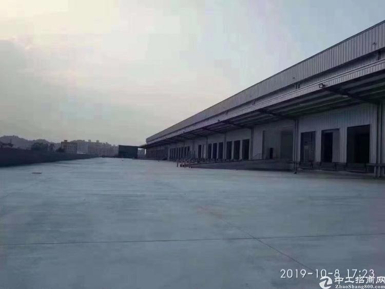 深圳观兰新出极致大型仓库物流冻库场地53000平方米太美